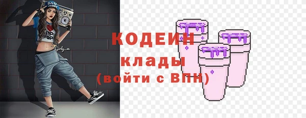 стафф Бородино