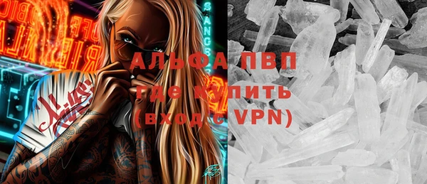 стафф Бородино