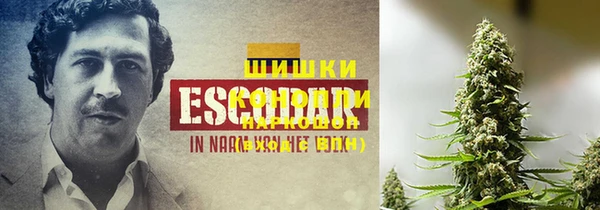 стафф Бородино